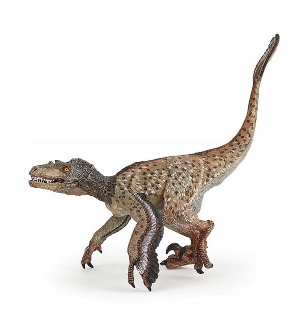 FEATHERED VELOCIRAPTOR - PAPO - 55086