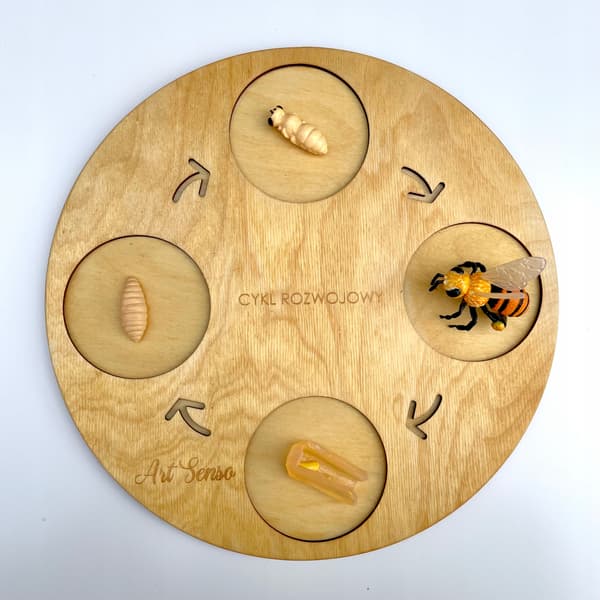 INSECT LORE educational bee life cycle figurine set for children