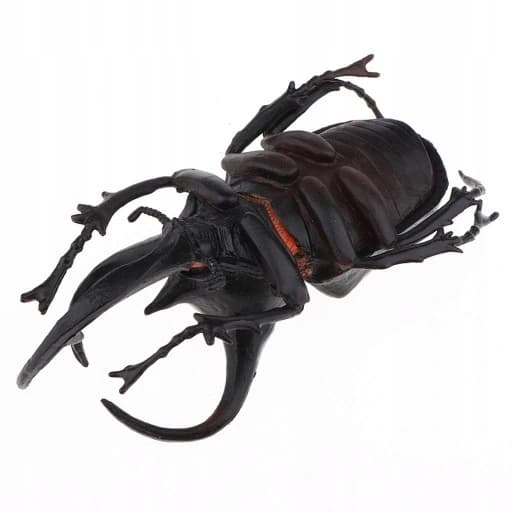 3x Lifelike Beetle Figures – Insects