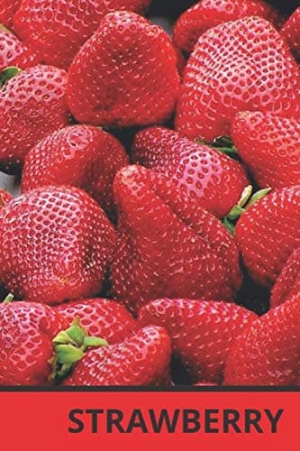 STRAWBERRY NOTEBOOKS: FRUITS NOTEBOOKS: Journal, Diary (110 pages, WHITE)
