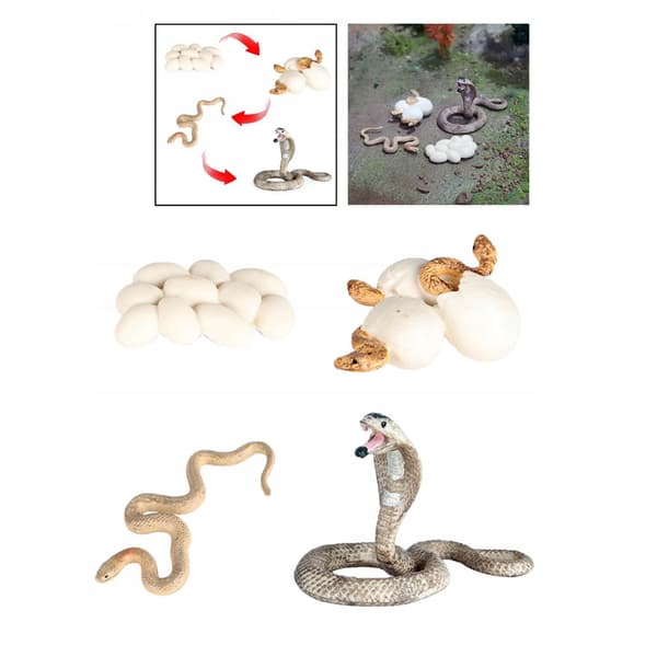 Simulation Animals Growth cycle model Action figures Lovely Baby figure