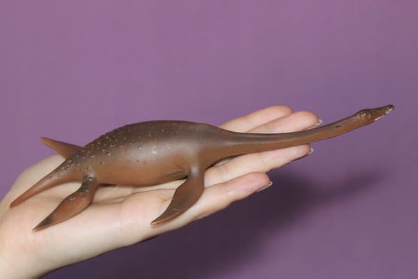 Attenborosaurus dinosaur 88489 collecta