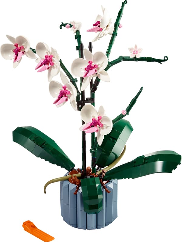 LEGO Creator Expert 10311 Orchid