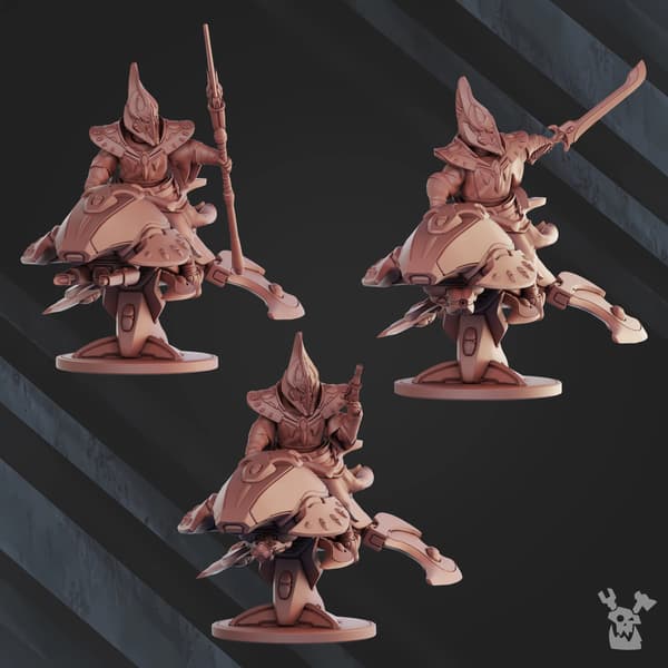 Witcher Space Traveller x3 DakkaDakkaStore