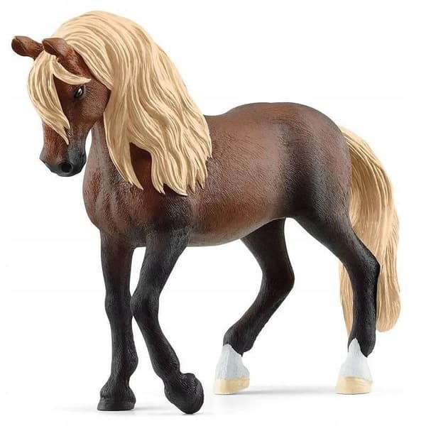A Paso Peruano stallion