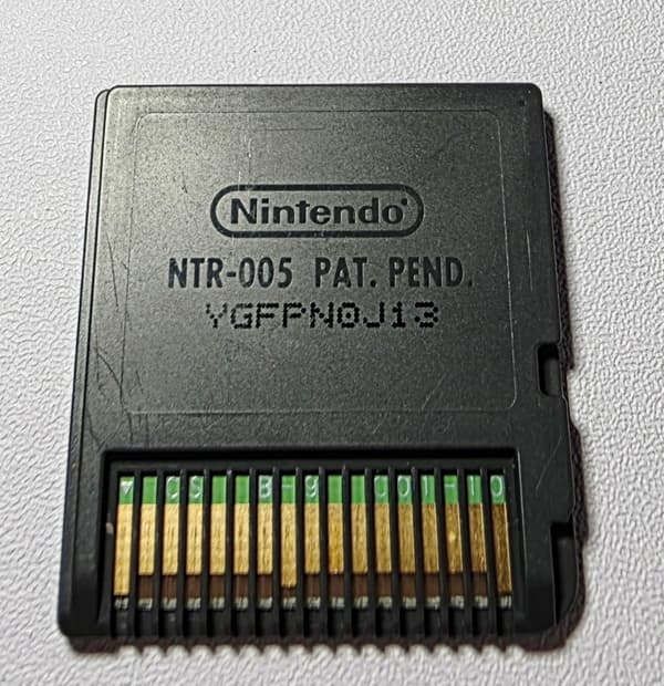 GARFIELD GETS REAL Nintendo DS