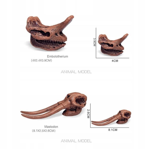Simulation: Mammals, Children, Learning, Figurines A
