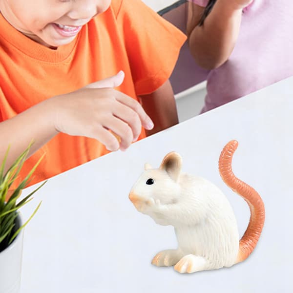 Realistic mouse model Sculptures Collectables Educational mice C-style toy