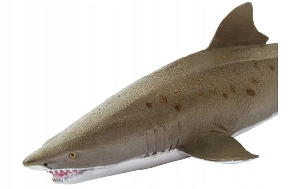 Safari Ltd – Tiger Shark figurine, 100369