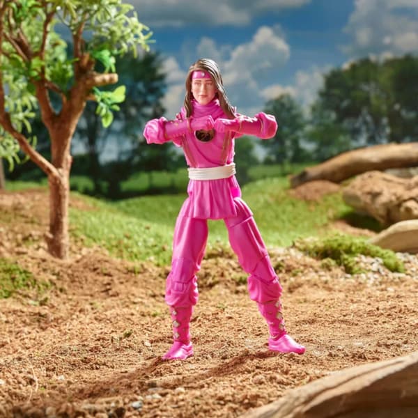 POWER RANGERS MIGHTY MORPHIN NINJA PINK RANGER