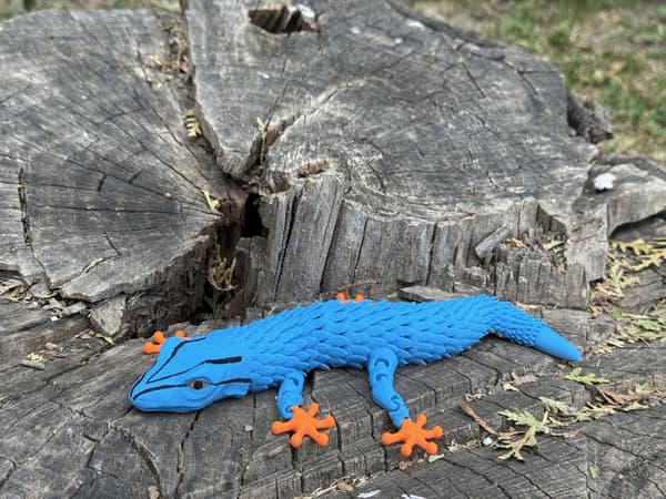 Williams’ 3D Gecko – a movable, flexible figurine, a unique terrarium decoration