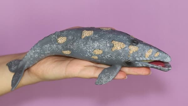 GREY WHALE [FIGURINE]