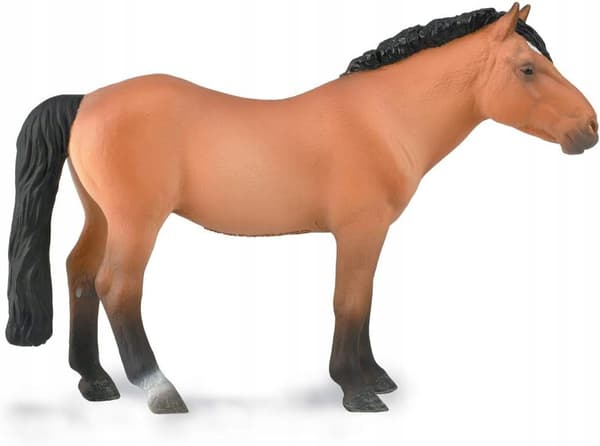 MONGOLIAN STALLION, LIGHT BAY, XL