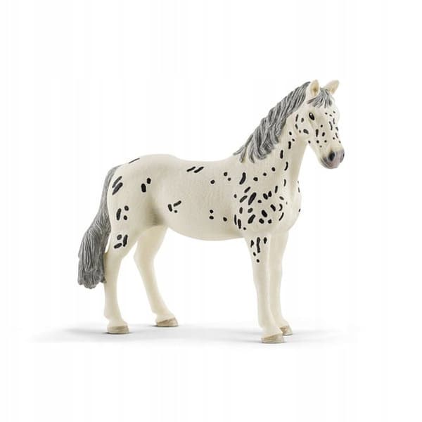 Pet – a Knabstrupper mare, red pack