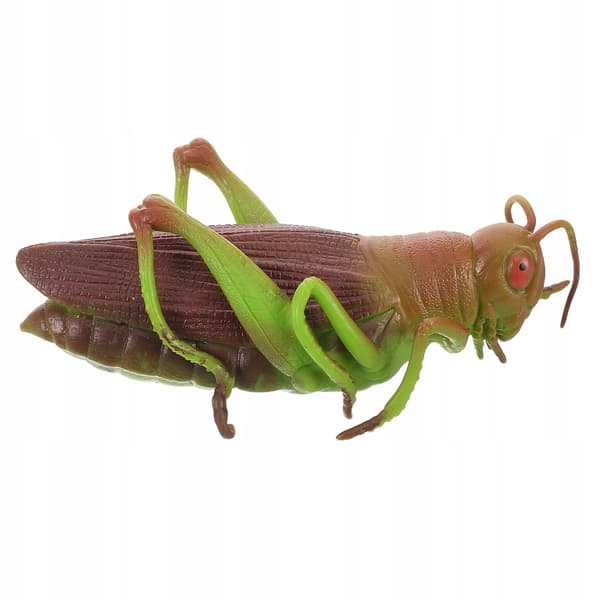 SOFT GRASSHOPPER – EDUCATIONAL TOY AND ROOM DECORATION
