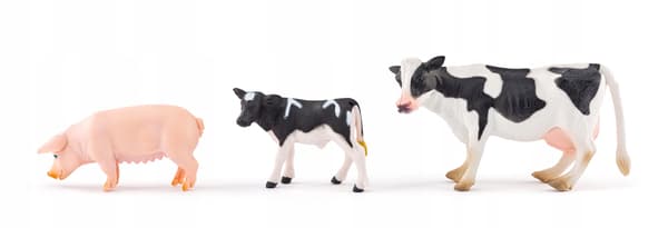 A farm with animals
