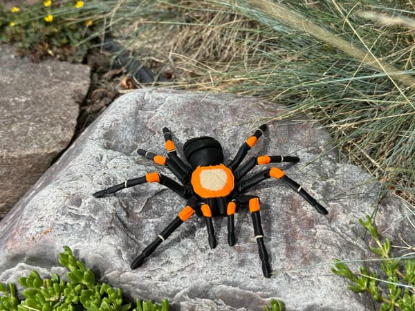 Tarantula 3D – a realistic, articulated spider, a unique figurine