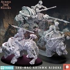 She-Orc Rhinox Riders Across the Realms