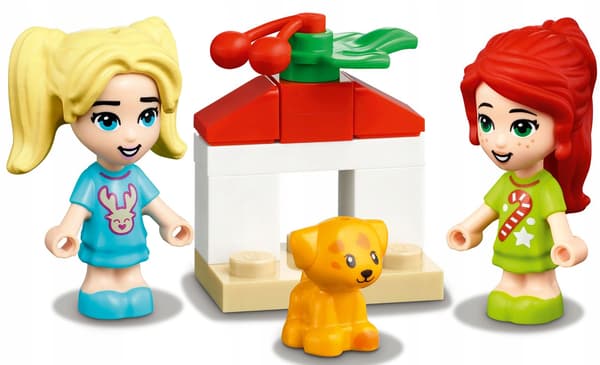 Friends Advent Calendar 41690