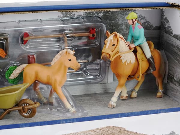 A farmyard with animals, horses and a rider