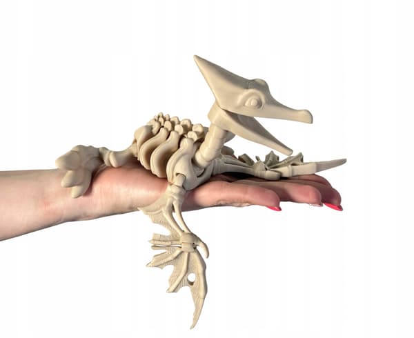 3D Pteranodon Skeleton + Nest with Eggs – a movable, articulated model