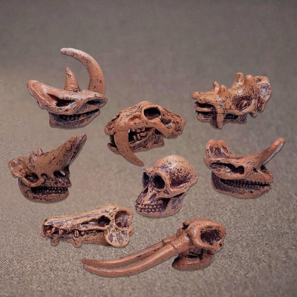 Simulation: Mammals, Children, Learning, Figurines A