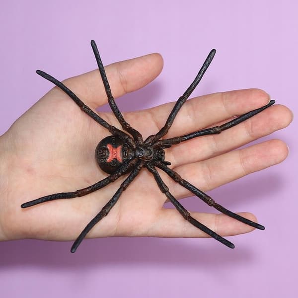 BLACK WIDOW SPIDER - CollectA - 88884 - L