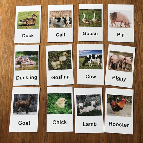 12 Sets: Education, Animals, Farm Animals Toys Group