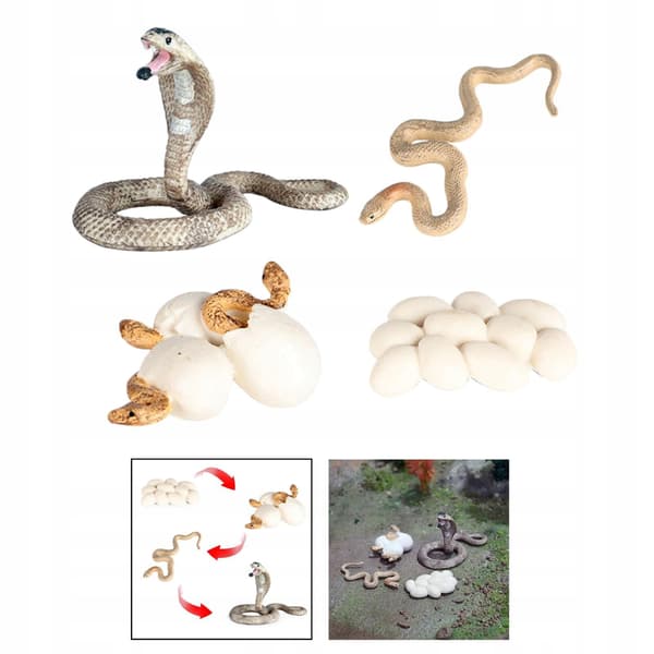 Simulation Animals Growth cycle model Action figures Lovely Baby figure