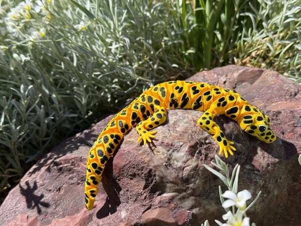 3D Leopard Gecko – a realistic segmented figurine, terrarium decoration