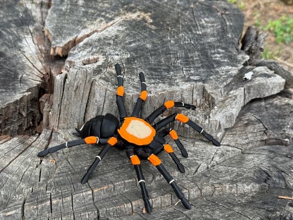 Tarantula 3D – a realistic, articulated spider, a unique figurine