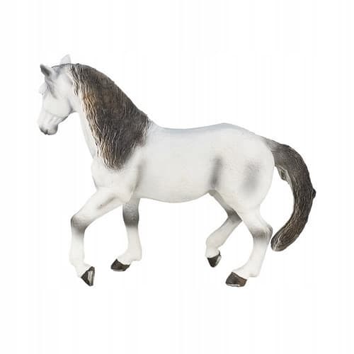 Mojo, a grey Andalusian horse