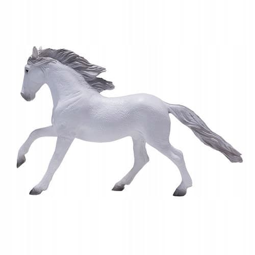 Mojo, a white Lusitano horse