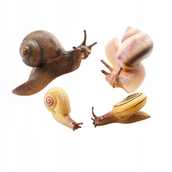 4-PIECE REALISTIC SNAIL MODEL – CAKE DECORATION AND EDUCATIONAL AID