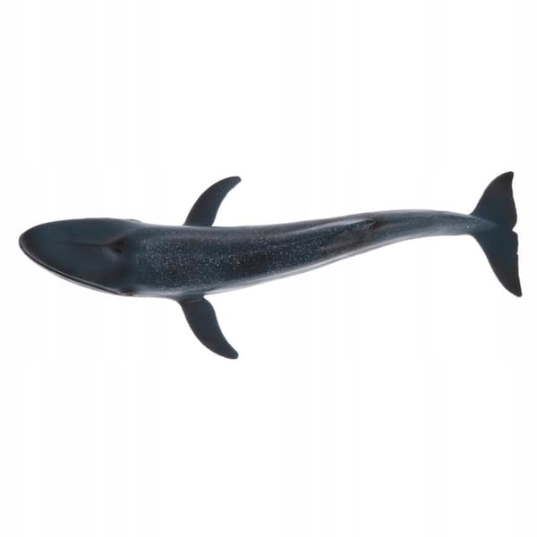 Realistic animal whale models Action figures Children