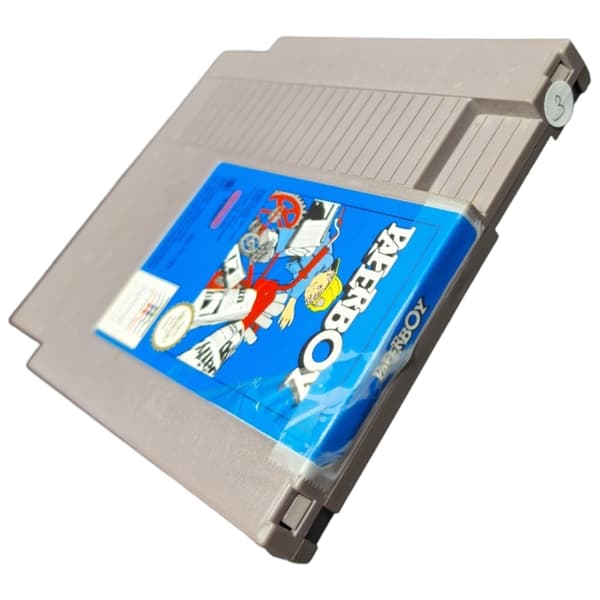 Paperboy Nintendo NES Newspaper Boy