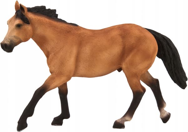 Mojo, the Quarter Horse swimmer