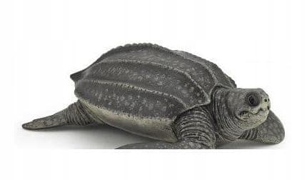 LEATHERBACK TURTLE [FIGURINE]
