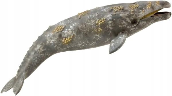 GREY WHALE [FIGURINE]