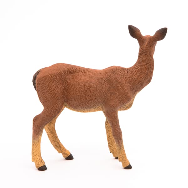 ŁANIA – DOE – PAPO – 53014