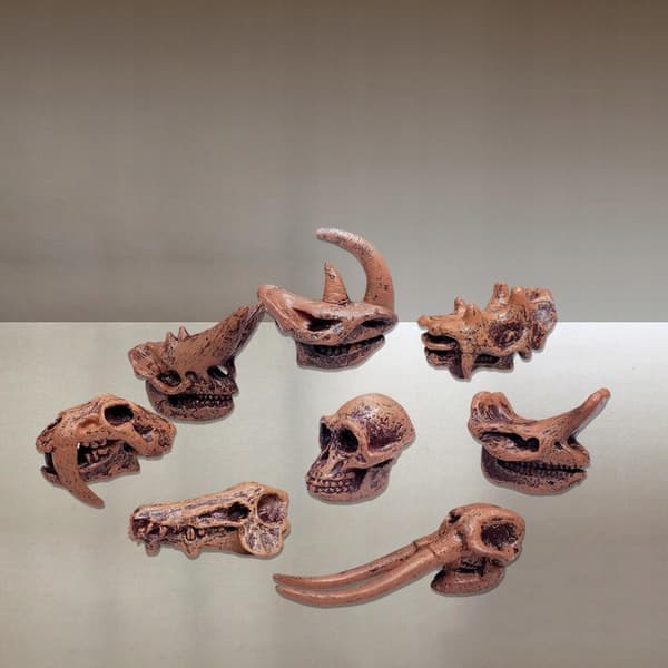 Simulation: Mammals, Children, Learning, Figurines A