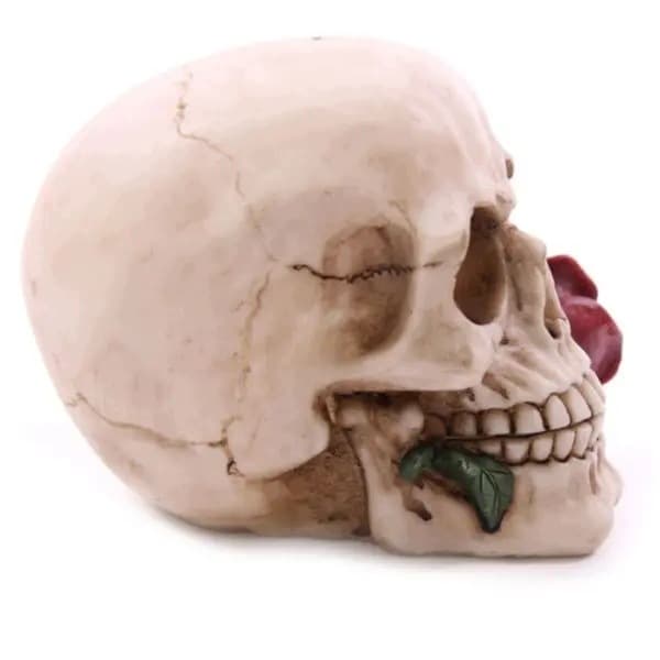 Puckator Skull with Roses Figurine