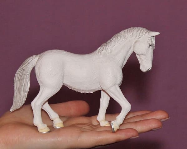 Mojo, a Lipizzaner mare