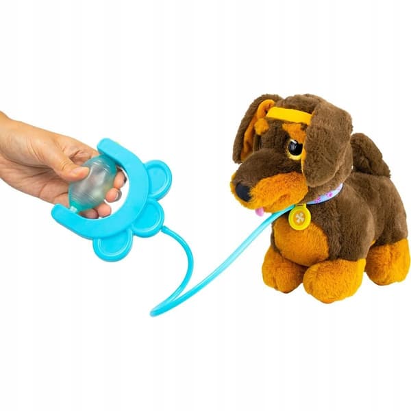 Sparky’s Sprint: Dachshund Puppy