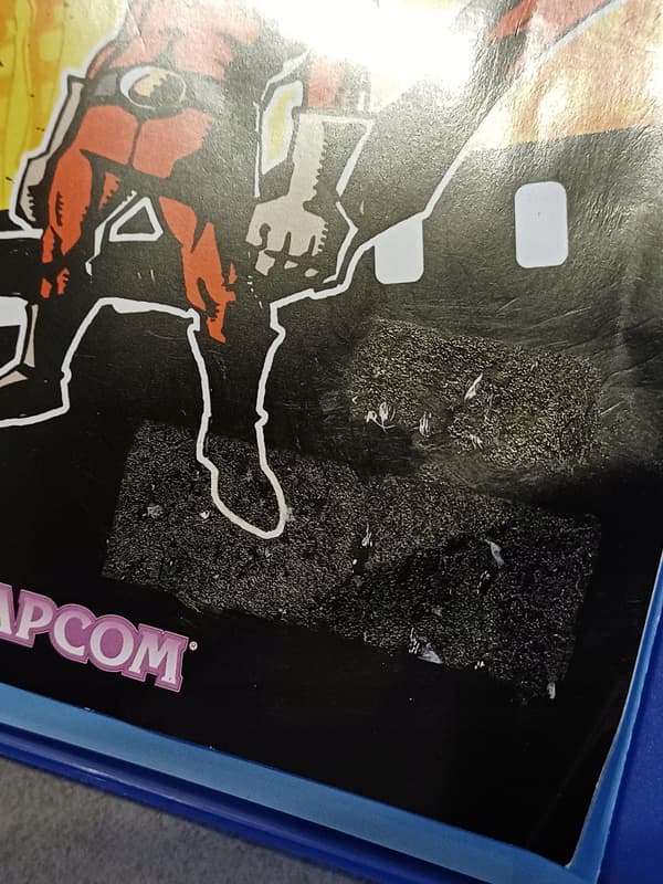 Viewtiful Joe, PlayStation 2, PS2