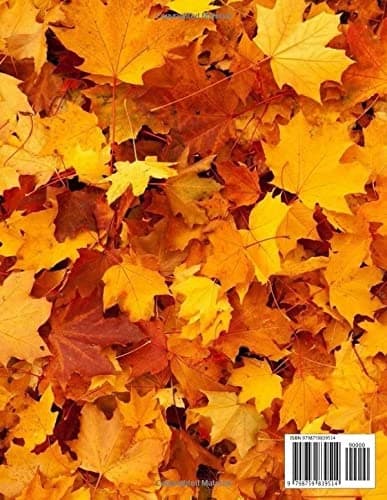 notebook: 120 pages