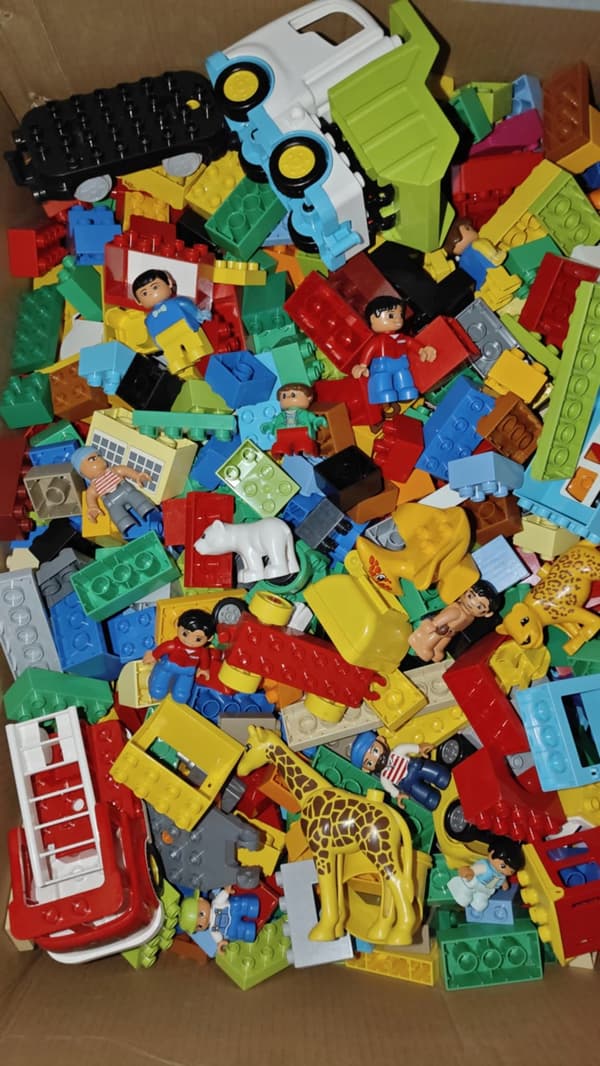 LEGO DUPLO BRICKS: 1 KG OF RANDOMLY SELECTED BRICKS + 2 MINIFIGURES