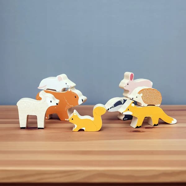 BigJigs Forest Animals Set