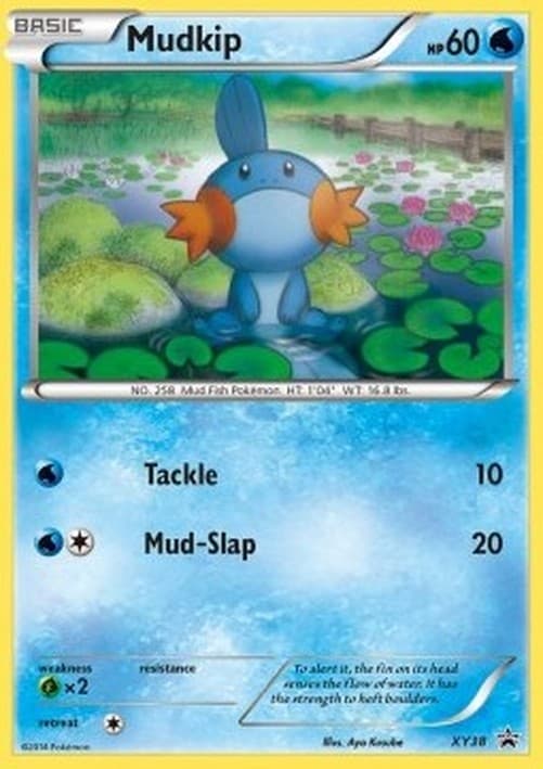 Pokemon TCG Mudkip