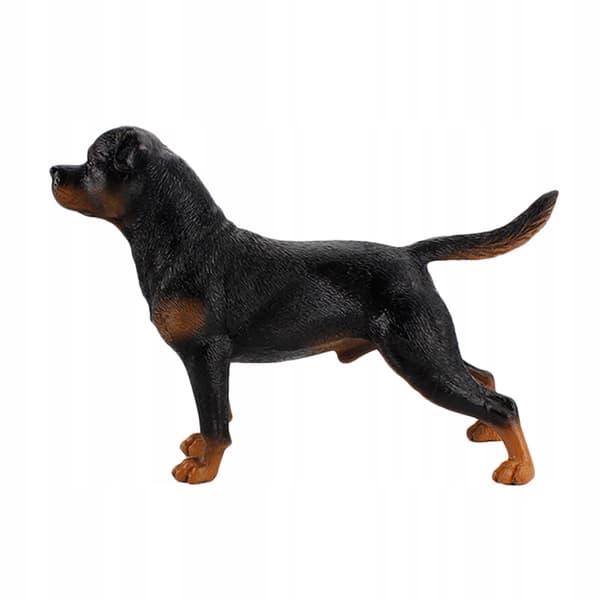DECORATIVE BLACK PLASTIC DOG MODEL FOR THE HOME AND EDUCATION